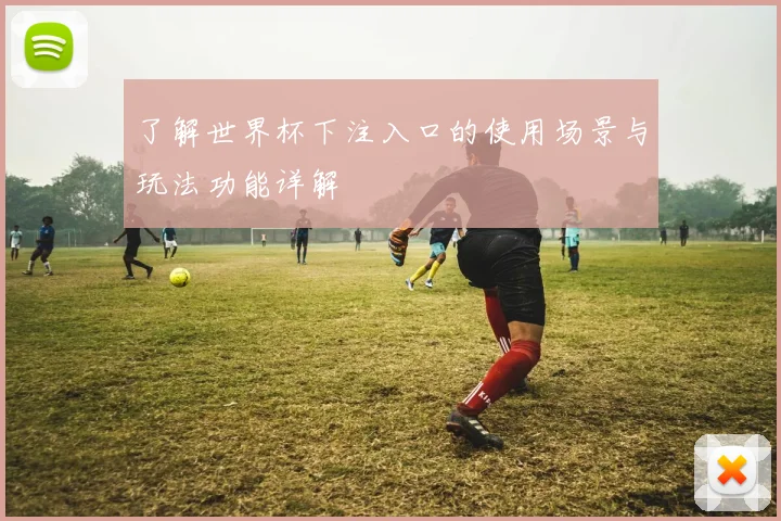 了解世界杯下注入口的使用场景与玩法功能详解